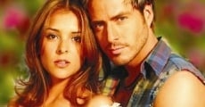 Novela Ángel rebelde