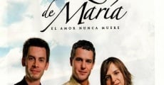 Novela Corazón de María