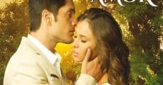 Entre tu amor y mi amor, novela completa