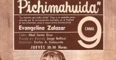 Novela Jacinta Pichimahuida