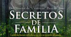 Novela Secreto de familia