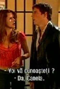 Mambo y canela online gratis