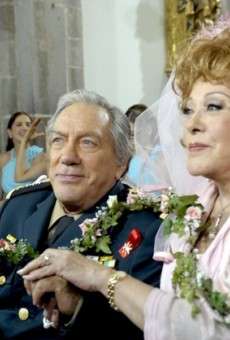 Mi amor frente al pasado online gratis