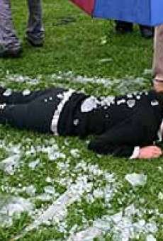 Puente de cristal online gratis