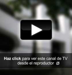 Canal 23 en vivo