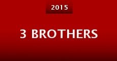 3 Brothers (2015)