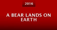 Película A Bear Lands on Earth