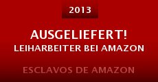 Ausgeliefert! Leiharbeiter bei Amazon (2013) stream