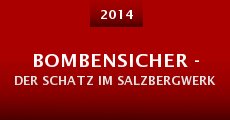 Bombensicher - Der Schatz im Salzbergwerk (2014)