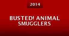 Busted! Animal Smugglers (2014) stream