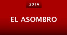 El asombro (2014) stream