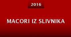 Macori iz slivnika (2016) stream