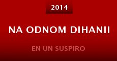 Na odnom dihanii (2014) stream