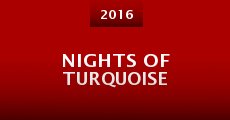 Película Nights of Turquoise