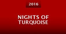 Película Nights of Turquoise