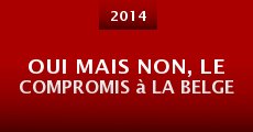 Oui mais non, le compromis à la belge (2014)