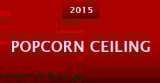 Popcorn Ceiling