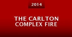 The Carlton Complex Fire (2014)