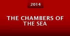 Película The chambers of the sea