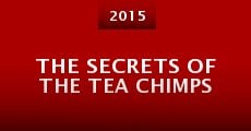 Película The Secrets of the Tea Chimps