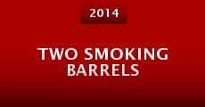 Two Smoking Barrels (2014)