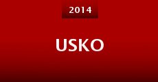 Usko (2014) stream