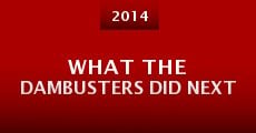 What the Dambusters Did Next